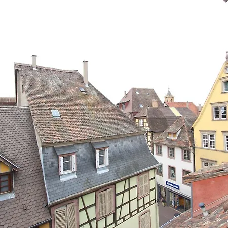 Center - Petit Ours - Bookingalsace