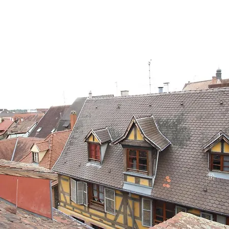 Center - Petit Ours - Bookingalsace * Colmar