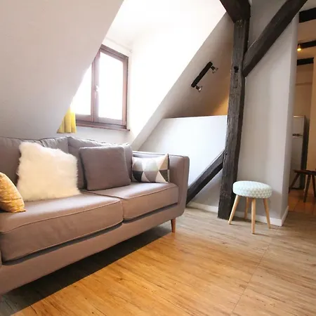 Center - Petit Ours - Bookingalsace Κολμάρ