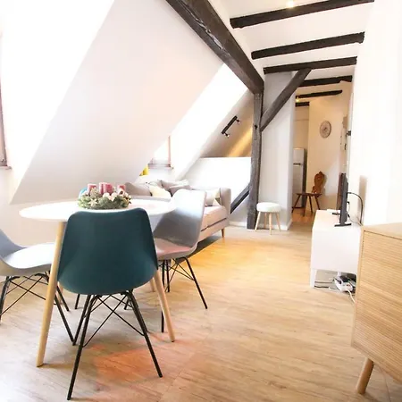 Center - Petit Ours - Bookingalsace *