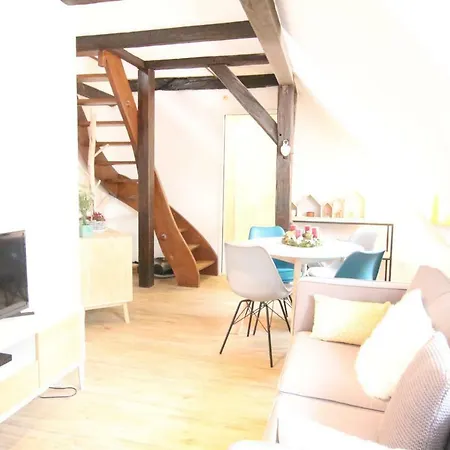 Apartamento Center - Petit Ours - Bookingalsace Colmar