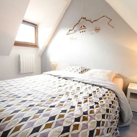 Center - Petit Ours - Bookingalsace Colmar