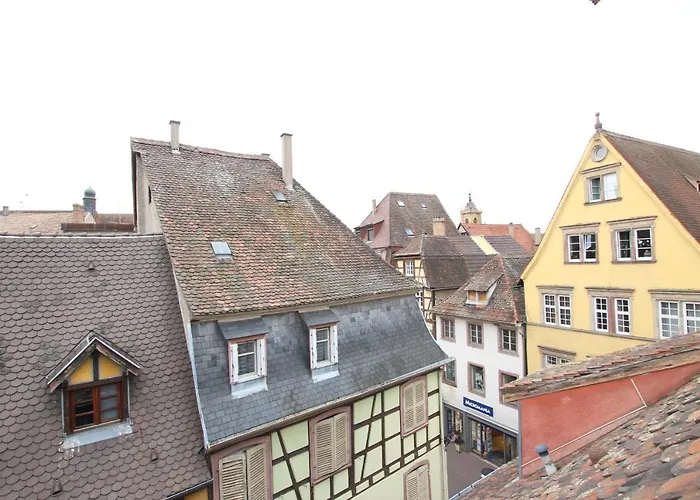 Center - Petit Ours - Bookingalsace