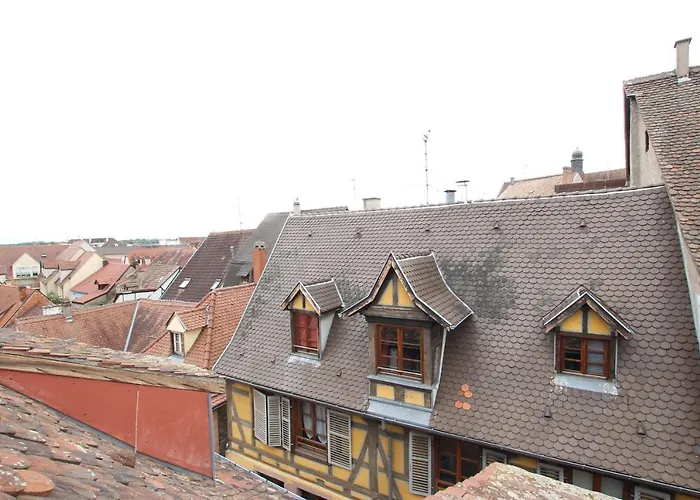 Center - Petit Ours - Bookingalsace * Colmar