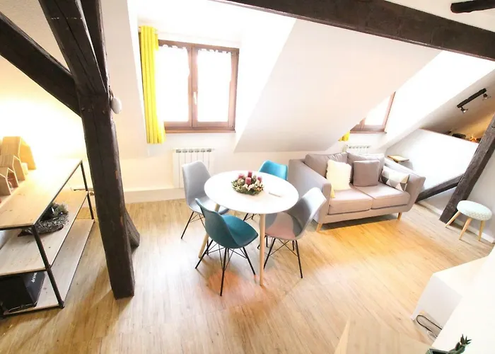 Center - Petit Ours - Bookingalsace Colmar