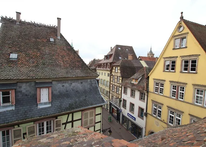 Appartement Center - Petit Ours - Bookingalsace *