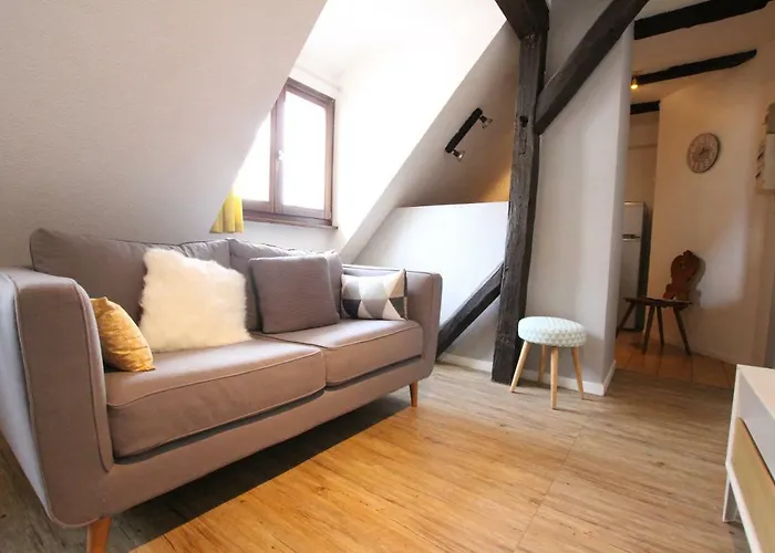 Center - Petit Ours - Bookingalsace Colmar