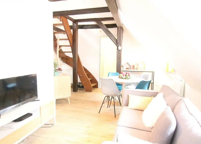 Appartement Center - Petit Ours - Bookingalsace Colmar