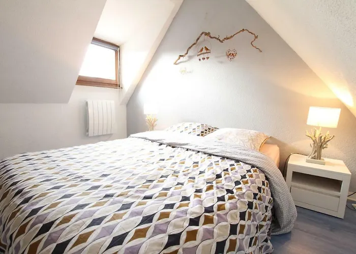 Center - Petit Ours - Bookingalsace Colmar